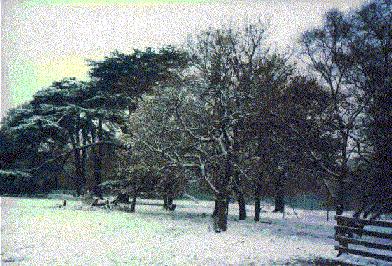 A view of the school field in the snow